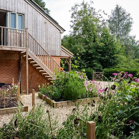 Little Willow Bank - 1 Bed Luxury Apartment Between Salisbury And The New Forest Exteriér fotografie